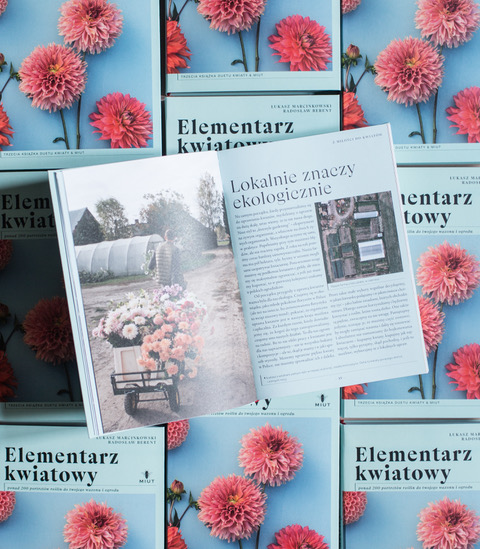 Elementarz kwiatowy - obrazek 3