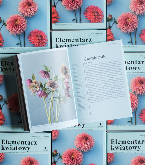 Elementarz kwiatowy - obrazek 4